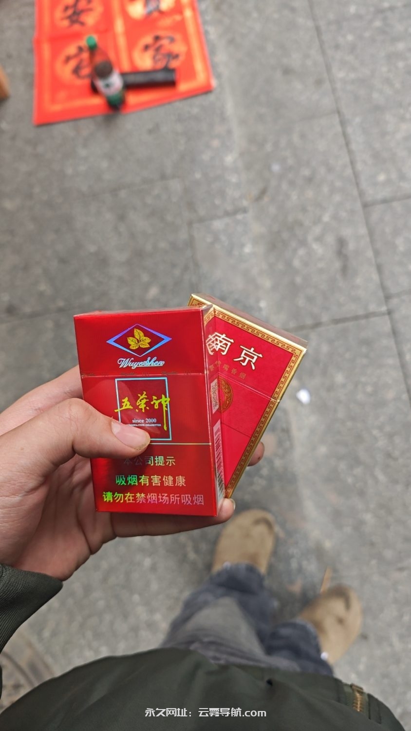 过年变成传统派了-聊天灌水论坛-玩家交流-云雾